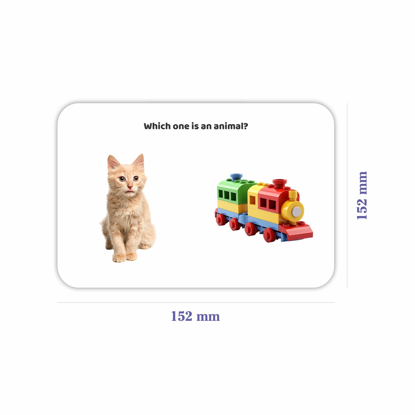 Which Questions Flashcards