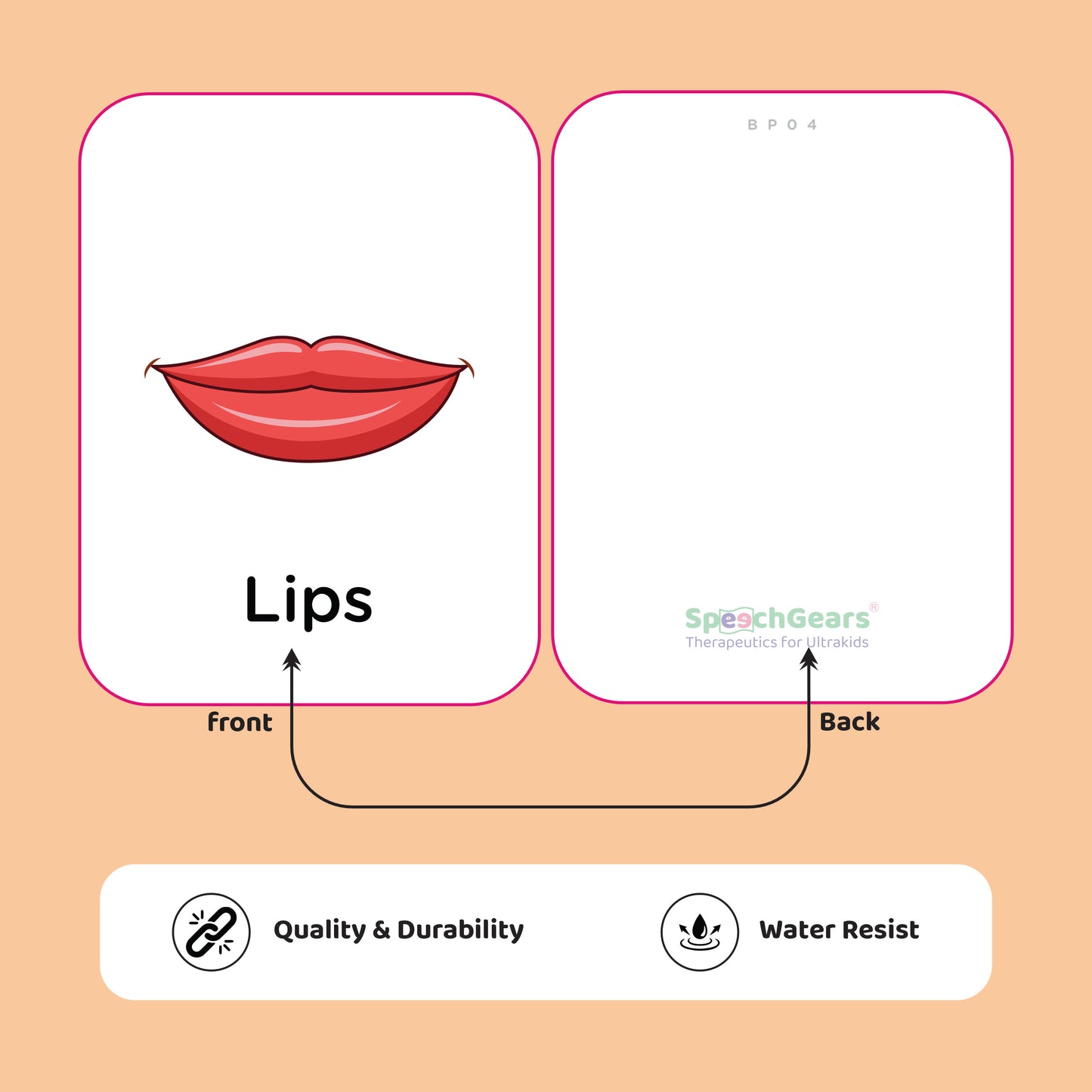 SpeechGears Body Parts Flashcards