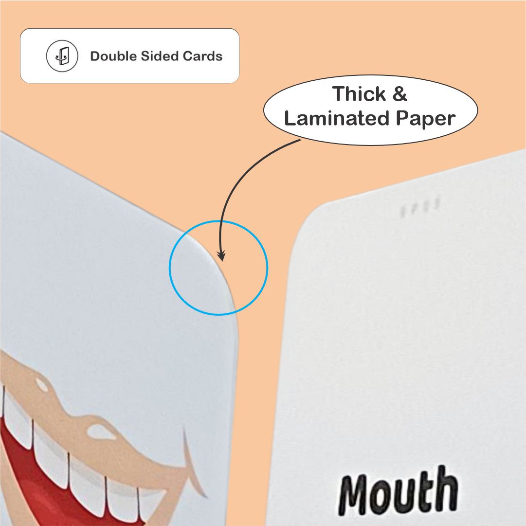 SpeechGears Body Parts Flashcards