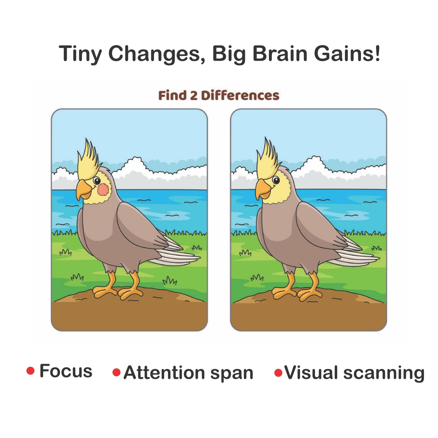 SpeechGears Find the Differences Book