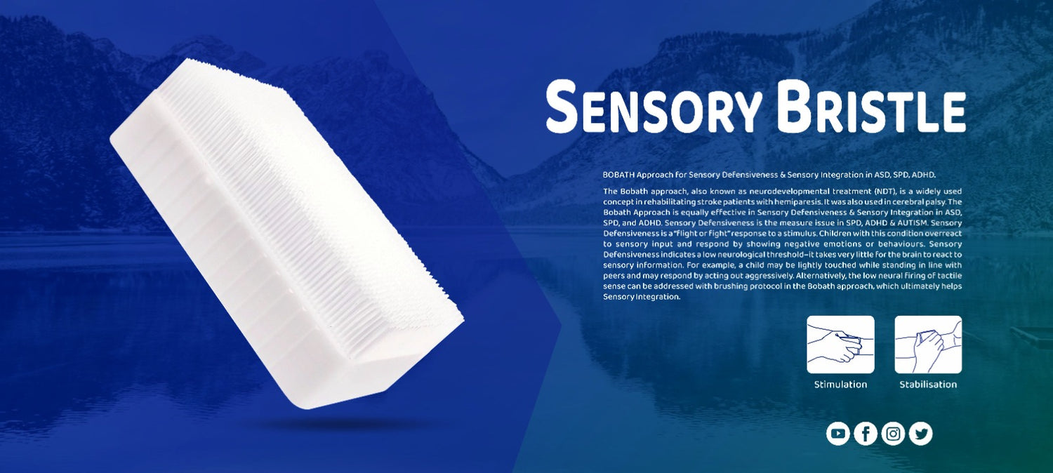 Sensory Bristle